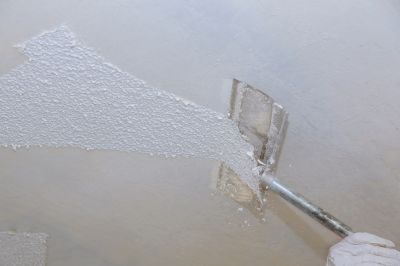 Ceiling Removal in Spring